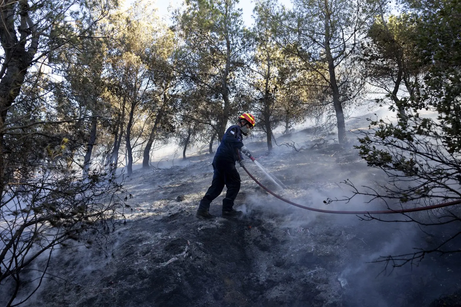 Greece declared an official state of emergency on June 26, 2025 in response to the fires in Chios.